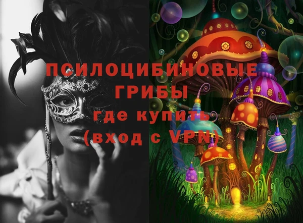 прущий лед Арсеньев