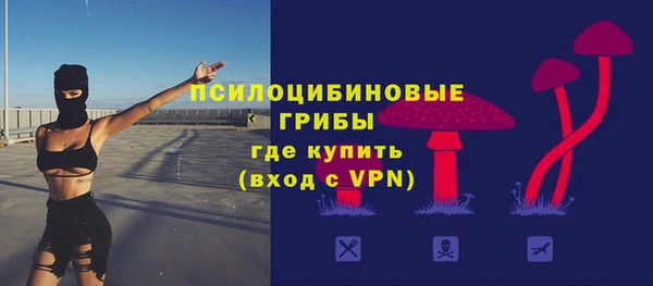 apvp Алексеевка
