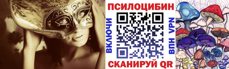 Галлюциногенные грибы Cubensis Калязин